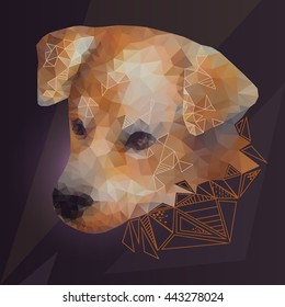 Stylized portrait of a dog on a dark background, creative print for t-shirts, clothing, bags, greeting cards