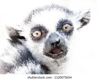 Stylized portrait of lemur monkey in halftone vector