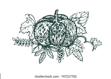 Stylized pumpkin and leaves isolated on white background. Autumn topic coloring page.