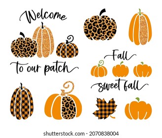 Stylized pumpkins with a trendy glamorous print with inscriptions