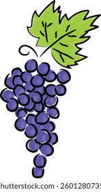 Stylized Purple Grapes with Green Leaf Vector Illustration