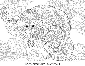 Animales de mapache estilizados sentados en una rama de árbol. Esbozo de mano libre para la página del libro anti estrés para adultos con doodle y elementos zentangle.