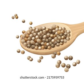 Stylized in a realistic manner image of coriander seeds. Coriander grains scattered on a wooden spoon and on the surface.  vector three-dimensional illustration made on a white background.