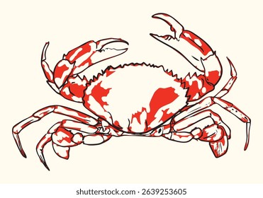 Stylized red crab line artworks with sharp contrast, perfect for marine-themed branding, seafood packaging, educational prints, beach decor, or ocean-inspired graphic design use.