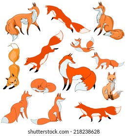 stylized red foxes in different poses