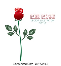 stylized red rose with leaves