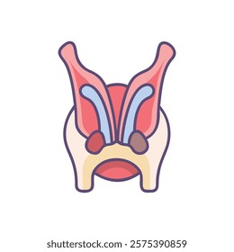 Stylized Representation of Eustachian Tube Anatomy