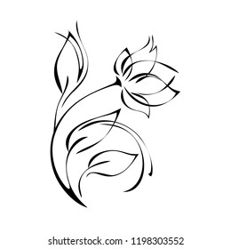 stylized rose flower with leaves in black lines on a white background