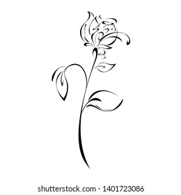 stylized rose flower on stem with leaves in black lines on white background