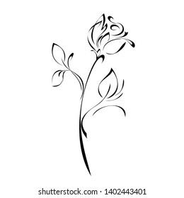 stylized rose flower on stem with leaves in black lines on white background