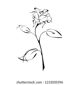 stylized rose with leaves in black lines on white background