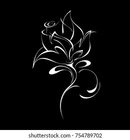 stylized rose in white lines on a black background 
