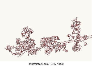 stylized sakura flowers drawing in two colors