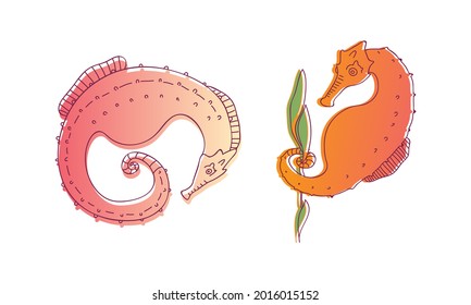 Stylized Sea Horses with Bony Armour and Curled Prehensile Tail Vector Set