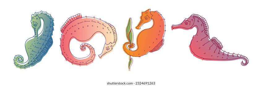 Stylized Sea Horses with Bony Armour and Curled Prehensile Tail Vector Set