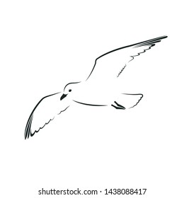 Stylized seagull flying isolated on white background. Monochrome seagull template for printing, logo, tattoo, sports and travel design. Vector flat black and white icon. 