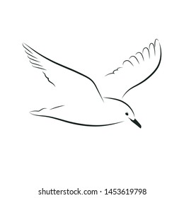 Stylized seagull flying isolated on white background. Monochrome seagull template for printing, logo, tattoo, sports and travel design. Vector flat black and white icon. 