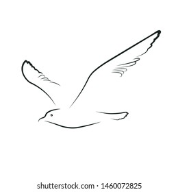 Stylized seagull flying isolated on white background. Monochrome seagull template for printing, logo, tattoo, sports and travel design. Vector flat black and white icon. 