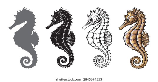 Stylized seahorses vector set in different styles. Silhouette, line art contour and colorful graphic elements isolated on white background.