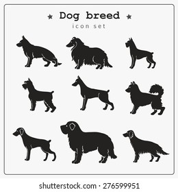 Stylized set of different dog breed icons. All  objects are conveniently grouped