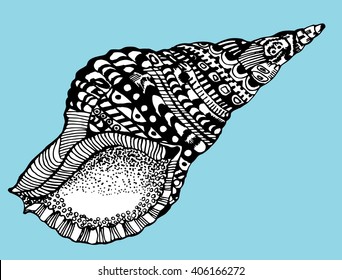 Stylized shell. Sea bottom. Shellfish. Line art. Black and white drawing by hand. Decorative. Zentangl.