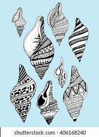 Stylized shell. Sea bottom. Shellfish. Line art. Black and white drawing by hand. Decorative. Zentangl. Set. Collection. Tattoo
