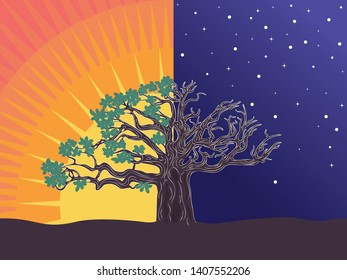 Stylized silhouette of big tree, night and sunset scene background.