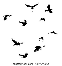 Stylized silhouette of a black raven, crow on white background.