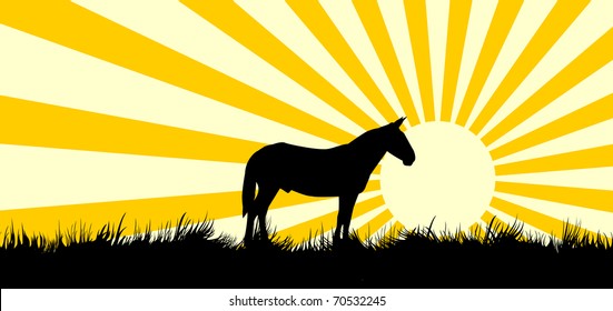 The stylized silhouette of a meadow with a rising sun and a horse on its background