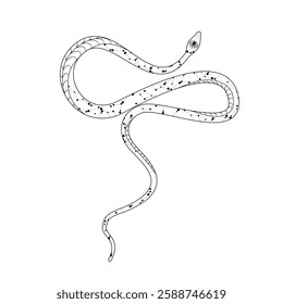 A stylized silhouette of a snake showing off its elegant curves in a playful doodle style design.