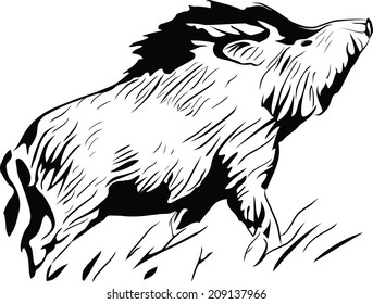 Stylized Silhouette Wild Pig Isolated Wild Stock Vector (Royalty Free ...