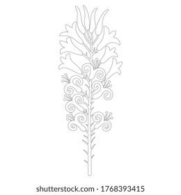 Stylized single branch of lily flower. Black and white linear silhouette. Cretan Minoan decor.