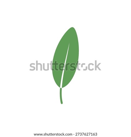Stylized Single Sage Leaf, Flat Green Botanical Vector Icon on White Background