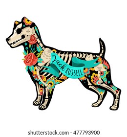 Stylized skeleton Jack Russell Terrier. Jack Russell Terrier. Vector illustration