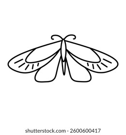 A stylized sketch of butterflies. Minimalist and elegant outline design, perfect for nature and spring themes.