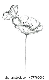 Stylized sketch of poppy flower with butterfly, VECTOR