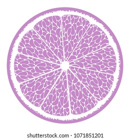 Stylized Slice of Orange. Vector Citrus Fruit Icon. The Flesh of Orange in Hipster Style. Orange, Grapefruit, Lemon, Lime. Delicious Citrus Fruit for Design, Template, Illustration, Advertizing, Card.