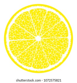Stylized Slice of Orange. Vector Citrus Fruit Icon. The Flesh of Orange in Hipster Style. Orange, Grapefruit, Lemon, Lime. Delicious Citrus Fruit for Design, Template, Illustration, Advertizing, Card.