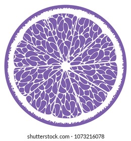 Stylized Slice of Orange. Vector Citrus Fruit Icon. The Flesh of Orange in Hipster Style. Orange, Grapefruit, Lemon, Lime. Delicious Citrus Fruit for Design, Template, Illustration, Advertizing, Card.