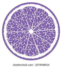 Stylized Slice of Orange. Vector Citrus Fruit Icon. The Flesh of Orange in Hipster Style. Delicious Citrus Fruit for Design, Template, Illustration, Advertizing, Card.