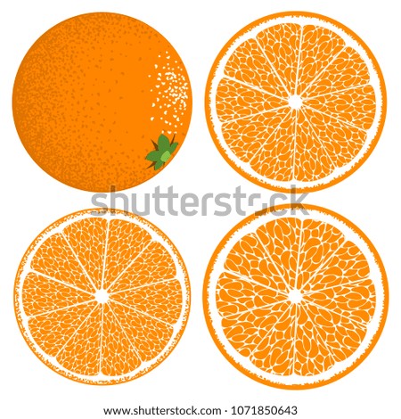 Stylized Slice of Orange. Vector Citrus Fruit Icons. Delicious Juicy Fruit for Design, Template, Illustration, Advertizing, Card, Banner. The Flesh of Orange in Hipster Style.
