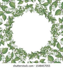 Stylized snow berry branches-frame with white berries and green leaves on a white background.