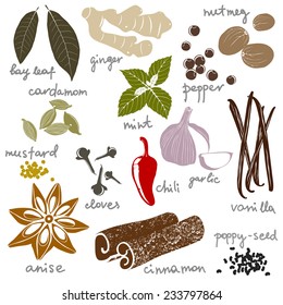 stylized spices set over white background