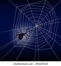 Stylized Spider Net and Spider Background