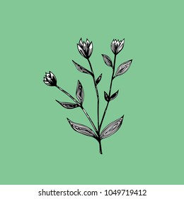 Stylized spring flower sprout