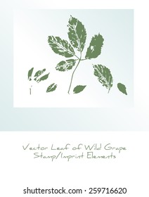 Stylized stamp/imprint elements of wild grape leaf (imitating stamp in scrap booking for example)