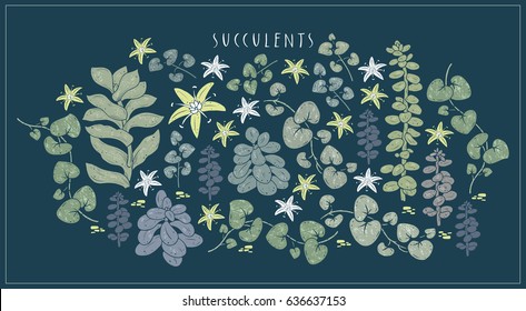 Stylized succulent plants. Stonecrop, string of hearts, crassula. Hand drawn vector illustration