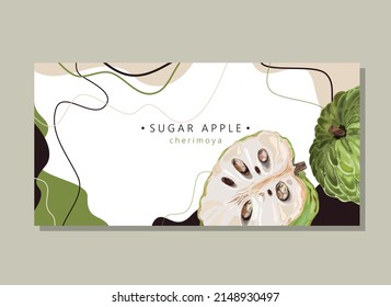 Stylized sugar apple on an abstract background. Ripe cherimoya fruit . Banner, poster, wrapping paper, sticker, print, modern textile design. Vector illustration. 