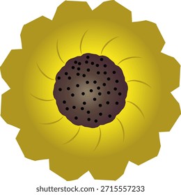 Stilisierte Sonnenblumen-Vektorgrafik mit braunem Samenzentrum und gelben Blütenblättern für Elementdesign, Grußkarte