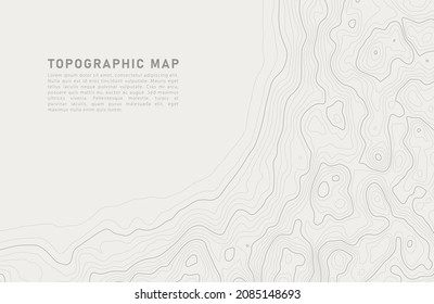 Stylized topographic contour map. Geographic line mountain relief. Abstract lines or wavy backdrop background. Cartography, topology, or terrain path concept. Vector illustration with editable stroke